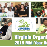 2015 Mid-Year Report