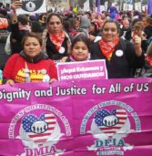 Featured Partner | Dreamers’ Mothers in Action