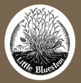 Little Bluestem