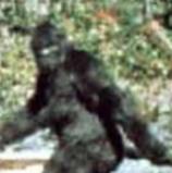 Ehrenthal: Voter Fraud & Bigfoot, They Make Exist, But are Hard to Find