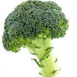 Day Two: Health Care is Not Broccoli