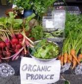 Marroni: The Real Benefits of Organic Food